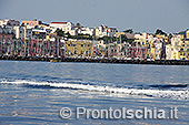 Procida, un'isola da scoprire 6