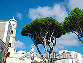 La Chiesa Santa Maria del Carmine a Serrara 4