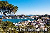 Il giro dell'isola d'Ischia di Giuseppe Orioli 14