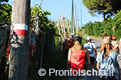 Escursioni a Ischia: tramonto al Monte Epomeo 6