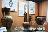 Visita guidata al Museo di Villa Arbusto 26