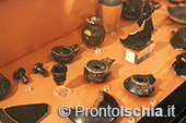 Visita guidata al Museo di Villa Arbusto 60