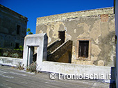 Procida: visita all'ex carcere di Terra Murata 25