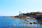 Ventotene, alla scoperta di un'isola 44