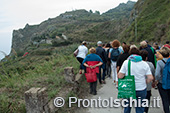 Ischia, Andar per Cantine: Frassitelli al tramonto 1